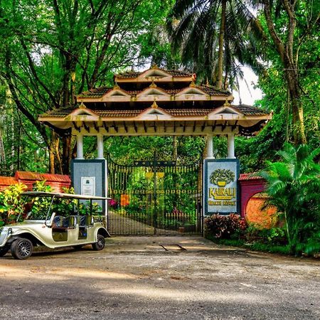 Kairali - The Ayurvedic Healing Village Палаккад Экстерьер фото